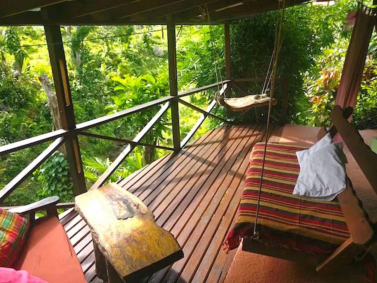 Cocoa Cottage Roseau Dominica