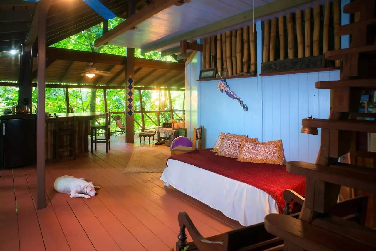 Cocoa Cottage Roseau Dominica