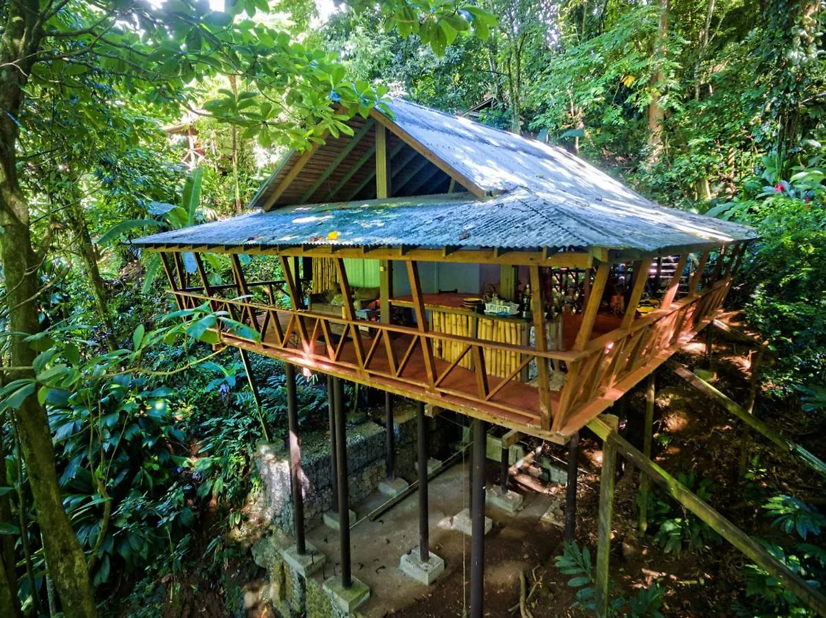 Cocoa Cottage Roseau