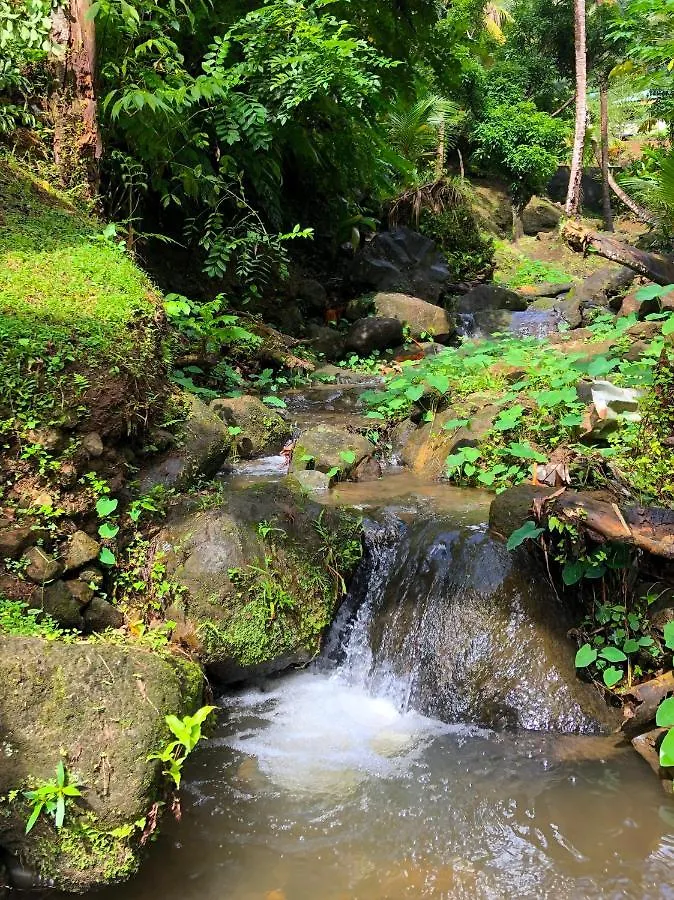 Cocoa Cottage Roseau Dominica