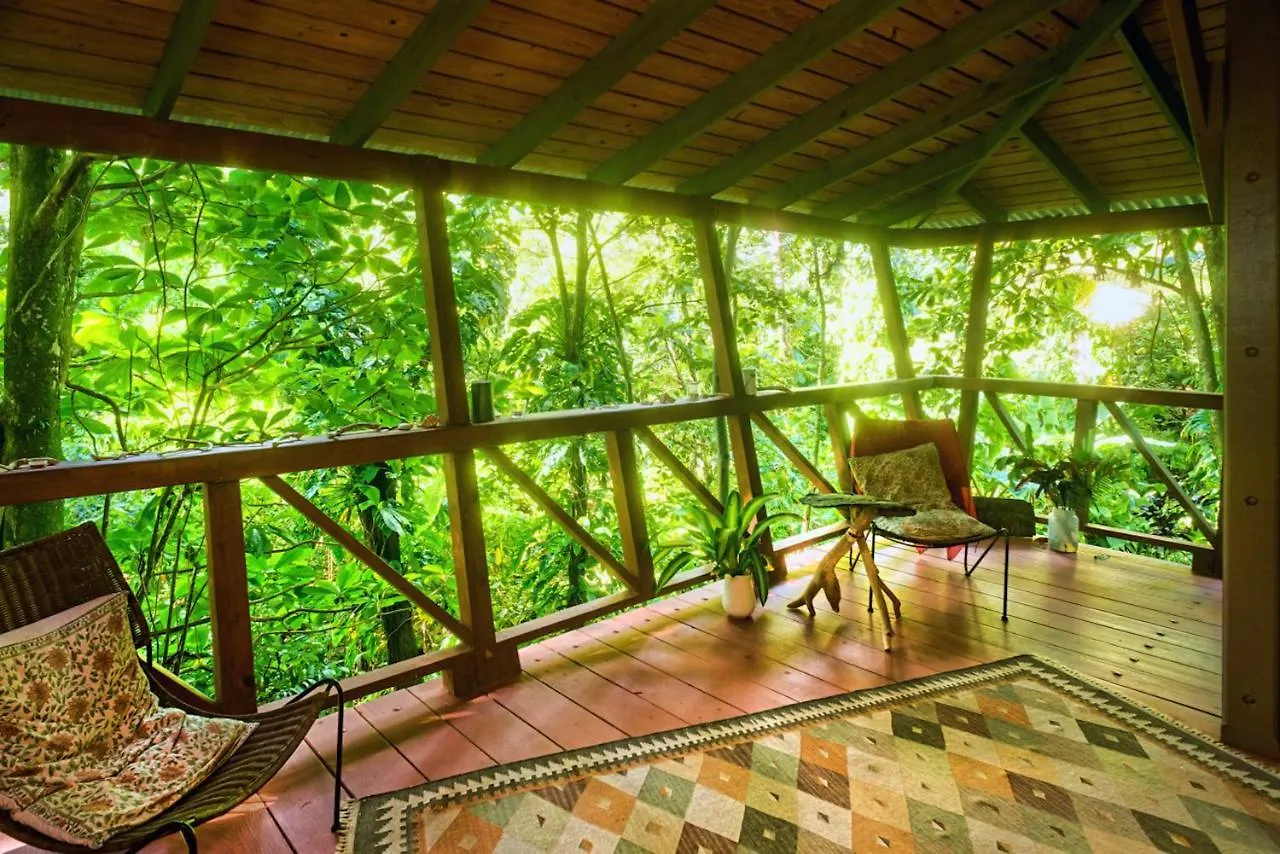 *** Frühstückspension Cocoa Cottage Roseau Dominica