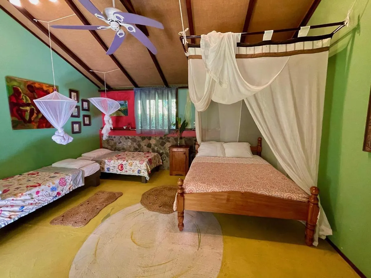 Cocoa Cottage Roseau Dominica